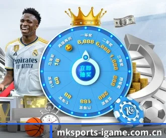 mk体育网页入口 APP - MKSports