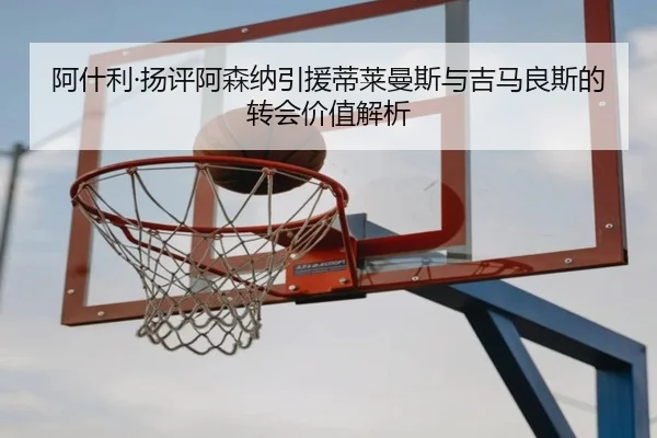 阿什利·扬评阿森纳引援蒂莱曼斯与吉马良斯的转会价值解析（MKSports）