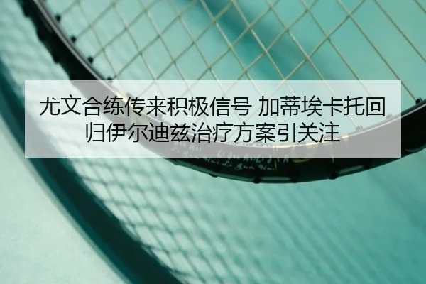 尤文合练传来积极信号 加蒂埃卡托回归伊尔迪兹治疗方案引关注（MKSports）